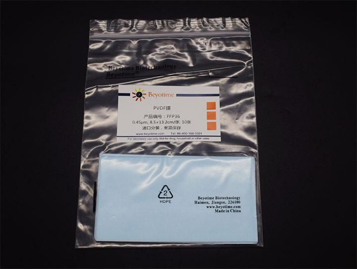 PVDF膜(进口分装, 8.5×13.2cm, 0.45μm)